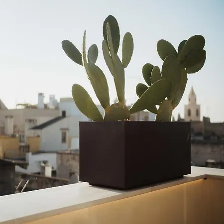 Maison d'hôtes La Dimora Dei Walori Bisceglie