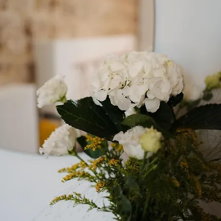 بيت ضيافة La Dimora Dei Walori بيشيلي