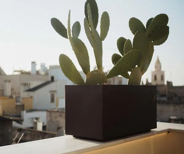 Konukevi La Dimora Dei Walori Bisceglie